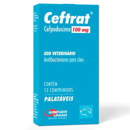 SITE - 1000x1000 ALINE -1-.png